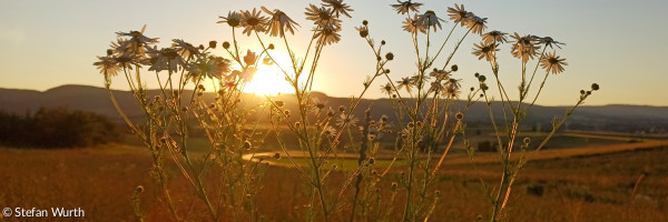 Herbstlicher Blick zur Hohen Rhön